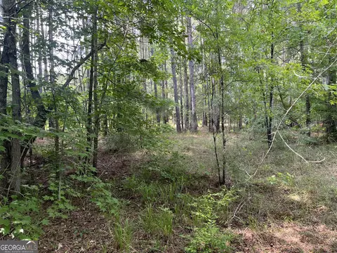 110 Canter Way, Forsyth, GA 31029 photo 16