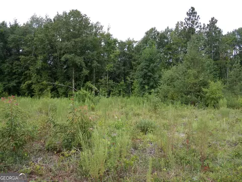 0 Mimosa Rd, Swainsboro, GA 30401