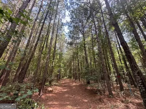 100 St Marys Rd, Crawfordville, GA 30631