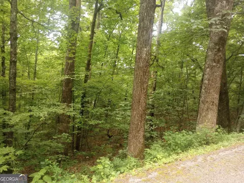 0 Bayberry Ln #55, Sky Valley, GA 30537