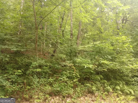 0 Bayberry Ln #56, Sky Valley, GA 30537
