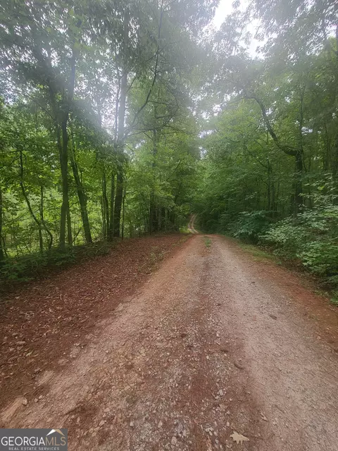 141 Dani Rd, Barnesville, GA 30204 photo 2