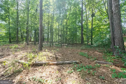 155 Mcgiboney Pl, Covington, GA 30016 photo 15