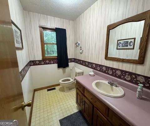 335 Highway 172, Colbert, GA 30628 photo 9