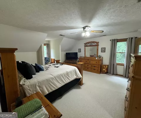 335 Highway 172, Colbert, GA 30628 photo 20