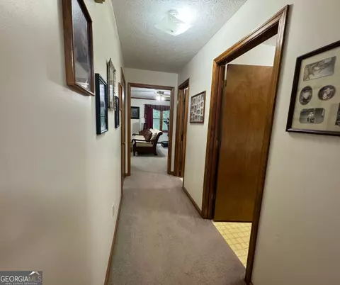 335 Highway 172, Colbert, GA 30628 photo 8