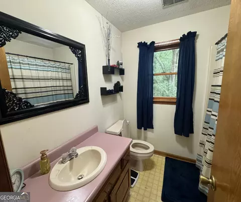 335 Highway 172, Colbert, GA 30628 photo 19