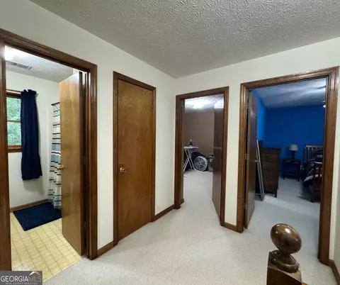 335 Highway 172, Colbert, GA 30628 photo 15