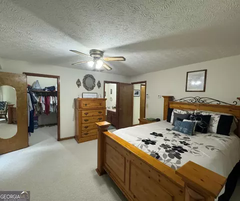 335 Highway 172, Colbert, GA 30628 photo 22
