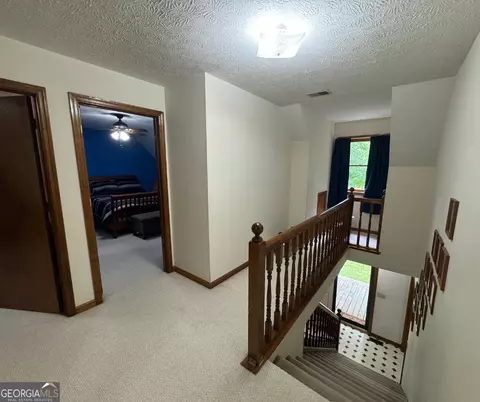 335 Highway 172, Colbert, GA 30628 photo 16