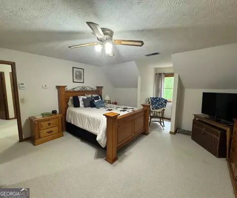 335 Highway 172, Colbert, GA 30628 photo 21
