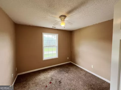 13485 Woolsey Rd, Hampton, GA 30228 photo 12