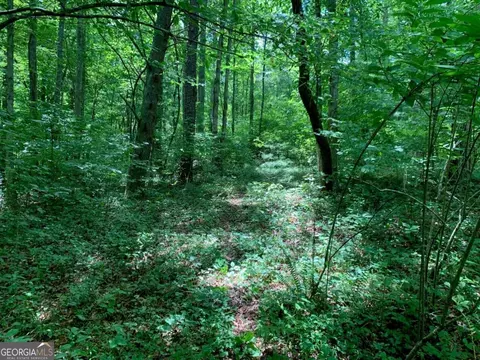 5 94 Ac Watts Jenson Dr, Blairsville, GA 30512