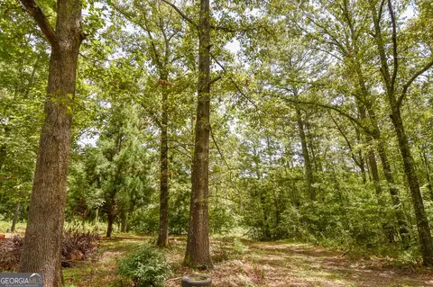 4480 Boxankle Rd, Barnesville, GA 30204 photo 10