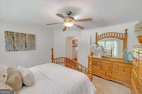 439 Flintside Dr, Cobb, GA 31735 photo 23