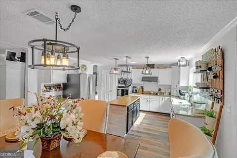 439 Flintside Dr, Cobb, GA 31735 photo 8