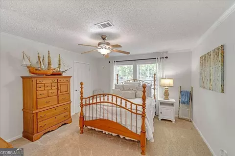 439 Flintside Dr, Cobb, GA 31735 photo 22