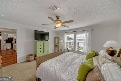 439 Flintside Dr, Cobb, GA 31735 photo 26