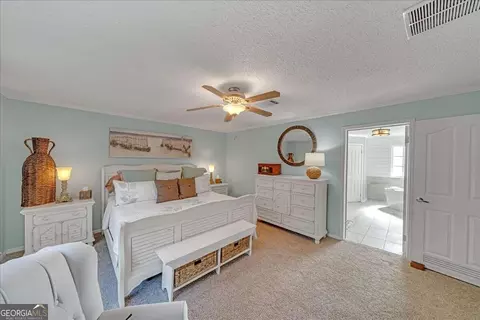 439 Flintside Dr, Cobb, GA 31735 photo 16