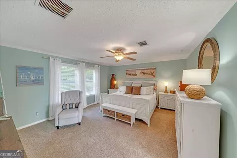 439 Flintside Dr, Cobb, GA 31735 photo 15
