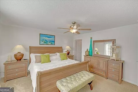 439 Flintside Dr, Cobb, GA 31735 photo 25