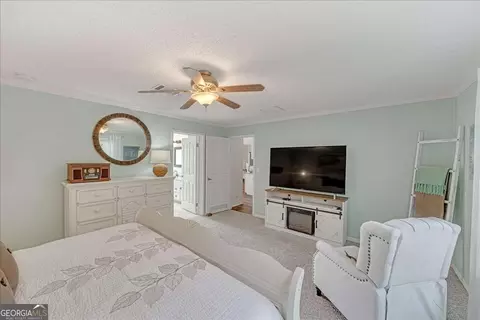 439 Flintside Dr, Cobb, GA 31735 photo 17