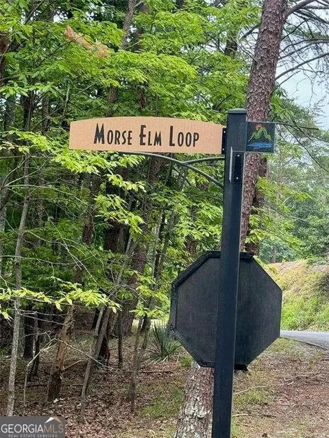 130 Morse Elm Loop, Waleska, GA 30183