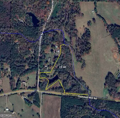0 Trammell Mill Rd, Shiloh, GA 31826
