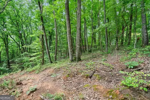 2076 Salem Church Rd, Jasper, GA 30143