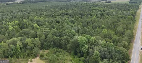 0 Chauncey Rhine Hwy, Chauncey, GA 31011