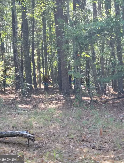 0 Youngs Mill Rd, Kingston, GA 30145