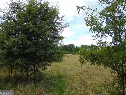 0 Dewey Hogan Rd, Monroe, GA 30656 photo 7