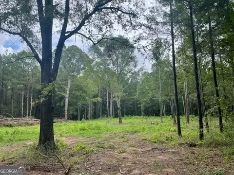 0 Wild Rd N, Mansfield, GA 30055