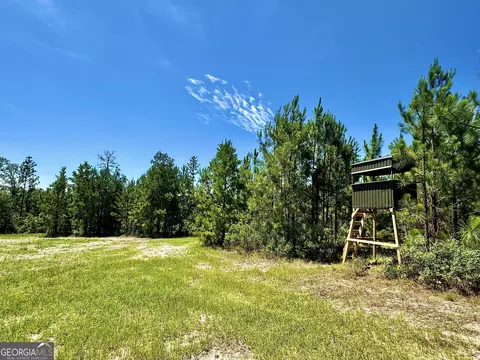 250 Archer Pondsmith Rd, Adrian, GA 31002 photo 10