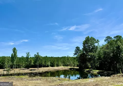250 Archer Pondsmith Rd, Adrian, GA 31002