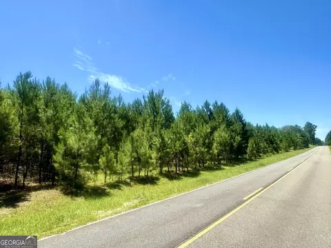250 Archer Pondsmith Rd, Adrian, GA 31002 photo 25