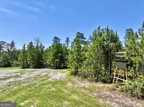 250 Archer Pondsmith Rd, Adrian, GA 31002 photo 20