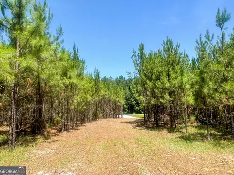 250 Archer Pondsmith Rd, Adrian, GA 31002 photo 24