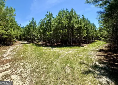 250 Archer Pondsmith Rd, Adrian, GA 31002 photo 23