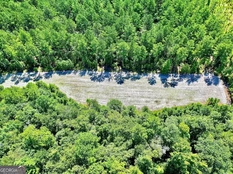 250 Archer Pondsmith Rd, Adrian, GA 31002 photo 16
