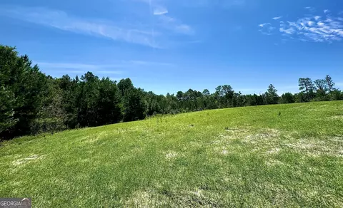 250 Archer Pondsmith Rd, Adrian, GA 31002 photo 18