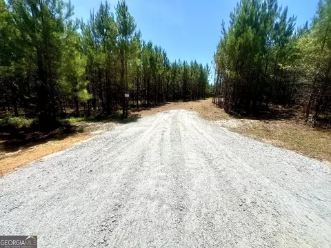 250 Archer Pondsmith Rd, Adrian, GA 31002 photo 3
