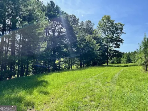 7660 Warrenton Mitchell Rd, Mitchell, GA 30820 photo 12