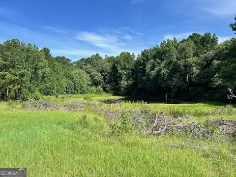 7660 Warrenton Mitchell Rd, Mitchell, GA 30820 photo 3