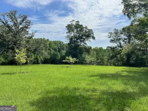 7660 Warrenton Mitchell Rd, Mitchell, GA 30820 photo 5