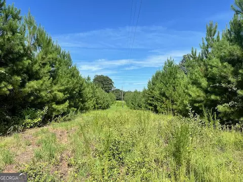 7660 Warrenton Mitchell Rd, Mitchell, GA 30820 photo 10