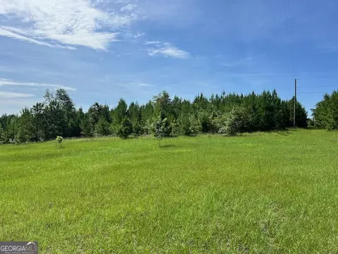 7660 Warrenton Mitchell Rd, Mitchell, GA 30820 photo 9
