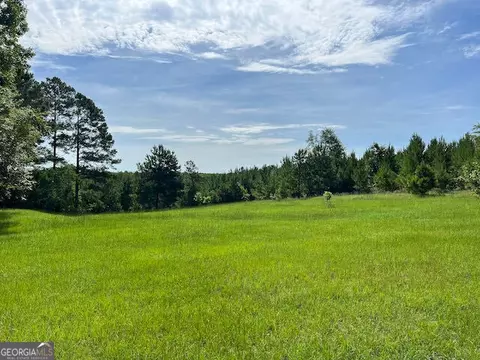7660 Warrenton Mitchell Rd, Mitchell, GA 30820 photo 8