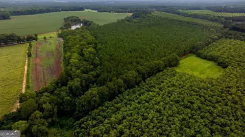 0 Wh Smith Rds #TRACT 6, Statesboro, GA 30458