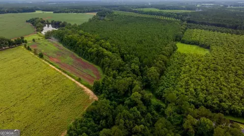 0 Wh Smith Rds #TRACT 7, Statesboro, GA 30458